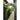 Nature Arco de jardim 229x38x113 cm metal preto