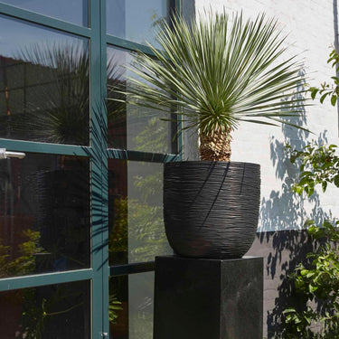 Capi Vaso oval Nature Rib 35x34 cm preto KBLR932