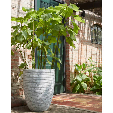 Capi Vaso elegante e baixo Nature Row 46x58 cm marfim KRWI783