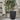 Capi Vaso elegante e baixo Urban Tube 46x58 cm preto KBLT783