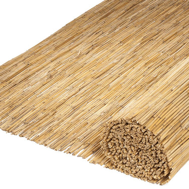 Nature 2 pcs painéis de vedação em canas de bambu 500x150 cm